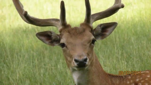 CANON is 170 Lednické Rovne смотреть онлайн