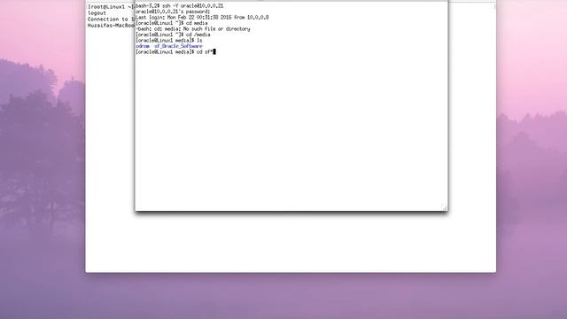 How to install 2 Oracle Databases on Mac Using VirtualBox смотреть онлайн