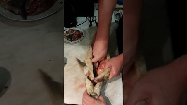 Разделка азовского осётра (мороженного) Часть 3 смотреть онлайн