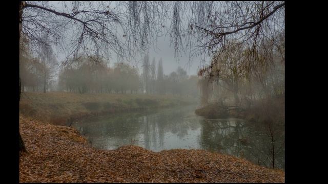 Перед дождем. Николай Некрасов. смотреть онлайн