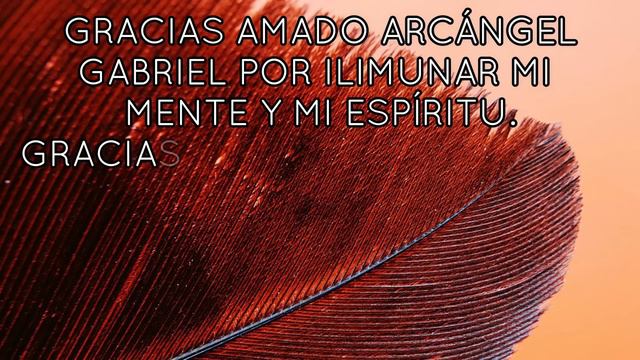 MENSAJE de los ÁNGELES PARA TI DIGEON💌GABRIEL💥FELICIDAD💥CONSEJOS PARA LA VIDA💥enseñanzas verti смотреть онлайн