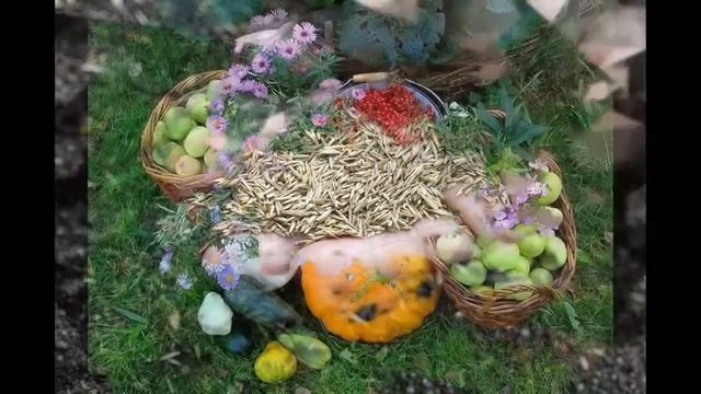 посев семян земляники на рассаду лунный календарь на февраль 2014 2 смотреть онлайн