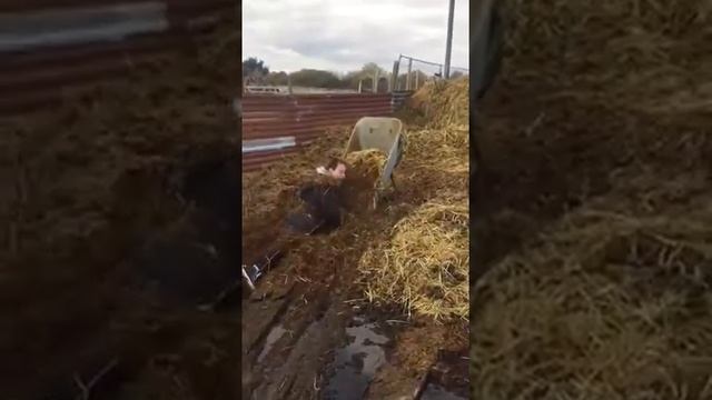 видно городская смотреть онлайн