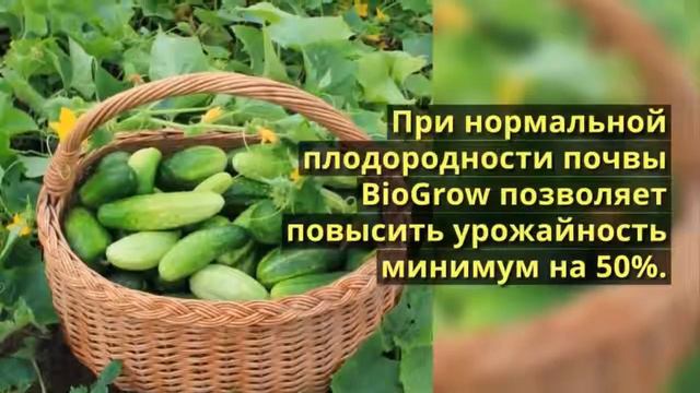 органическое удобрение биомастер