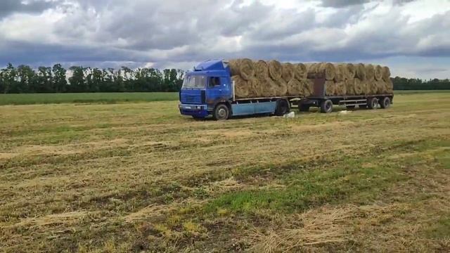 Сенокос 2022. Итоги работы. смотреть онлайн