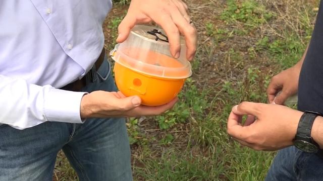 Децис Трап от Байер смотреть онлайн