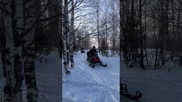 Снегоходы на горе Ладейной #горнолыжныйкурорт #горы #снегоходы #губаха смотреть онлайн