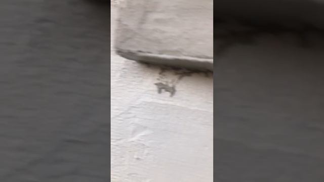 Фибра армирование смотреть онлайн