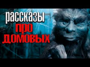 РАССКАЗЫ ПРО ДОМОВЫХ. Страшные истории