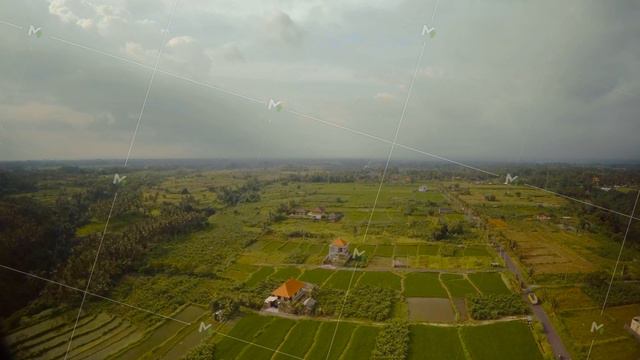 Rice fields on Bali island in the Indian Ocean 6 смотреть онлайн