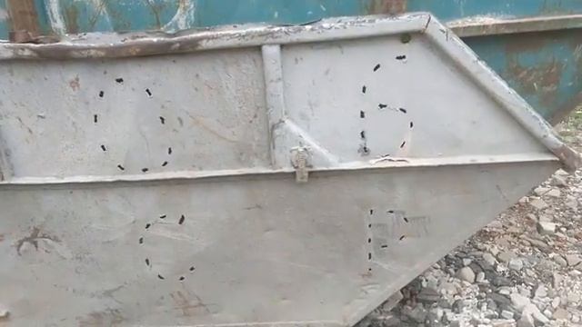 Бункера БН-8 V 8 куб м б/у T:+7 985 4532052 15 000 руб смотреть онлайн