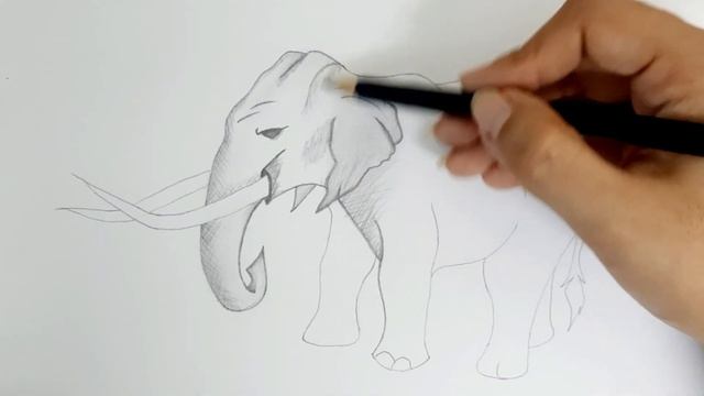 How to draw an Elephant sketch || Simple easy Drawing 2021 смотреть онлайн