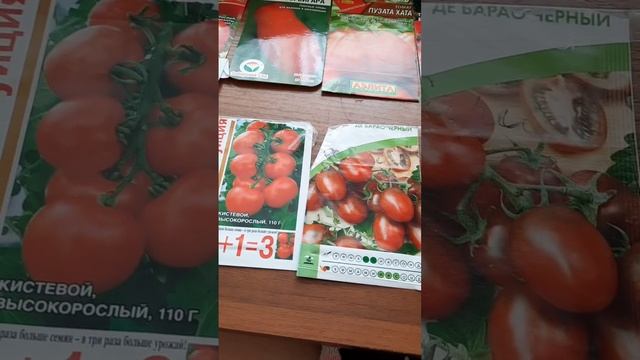 2 марта. Посеяла помидоры. смотреть онлайн