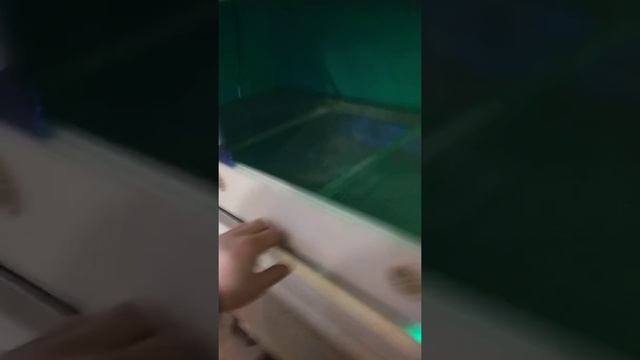 Брудер смотреть онлайн