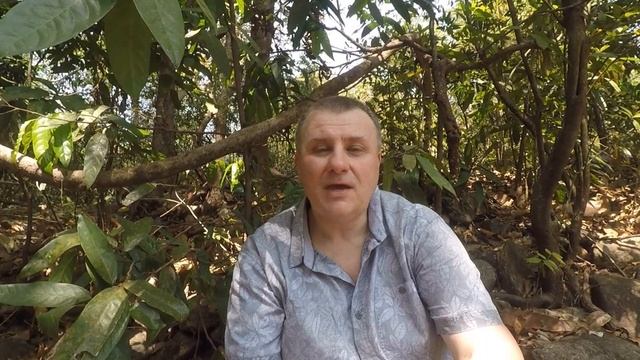 храм астральной змеи смотреть онлайн