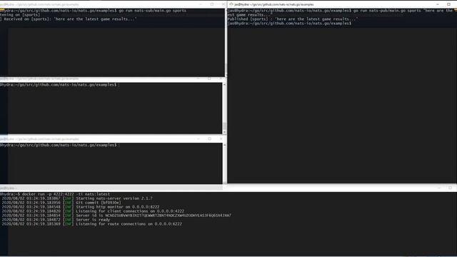 Getting Pub/Sub up and running in NATS with Go смотреть онлайн
