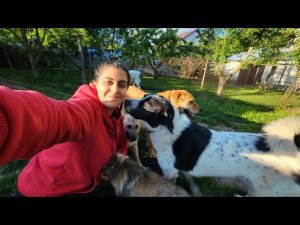 Нукеру нужна пластина. мы с хвостиками в эфире