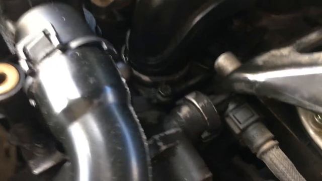 Ford focus 1.6 tdci motor смотреть онлайн