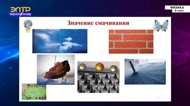 8-класс | Физика | Жидкости. Капиллярные явления смотреть онлайн