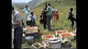 Кулушац 1990