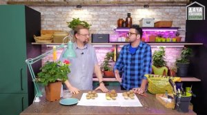 Два урожая картофеля за лето РЕАЛЬНО! Ранние сорта картофеля