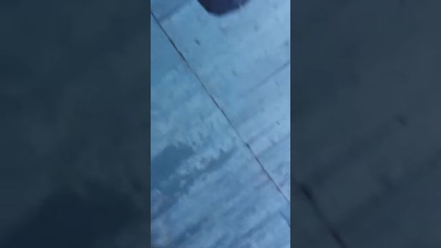 ГАИ (ДАИ) не общается, если у вас есть телефон. Макеевка. смотреть онлайн