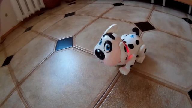 Говорящая собачка Лакки (Lucky) - забавная детская игрушка. Говорящий пёсик на колёсиках с музыкой смотреть онлайн