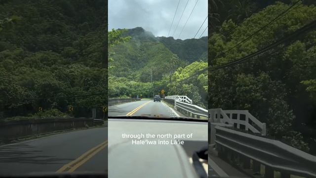 Day 16 & 17 of my internship in Hawaii! Dehydration is a real issue here & driving around the islan смотреть онлайн