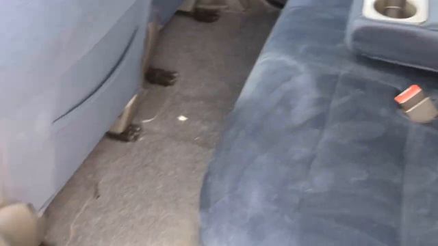 2012 NISSAN CUBE ONLY 35000 MILES BATTLE SHIP GREY смотреть онлайн