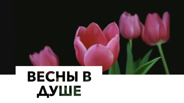 Поздравление любимой с 8 марта! смотреть онлайн