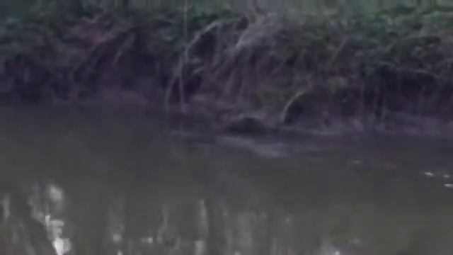 VID 20150507 WA0001 смотреть онлайн