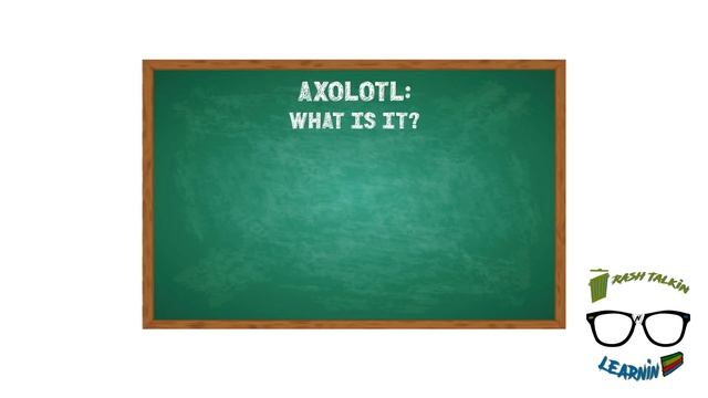 Trash Talkin' N Learnin': Intracoastal Clean Up And The Axolotl