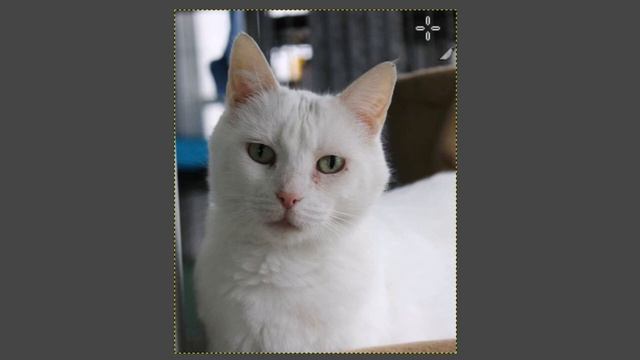 GIMP: How To Crop An Image Using Gimp *2023* смотреть онлайн