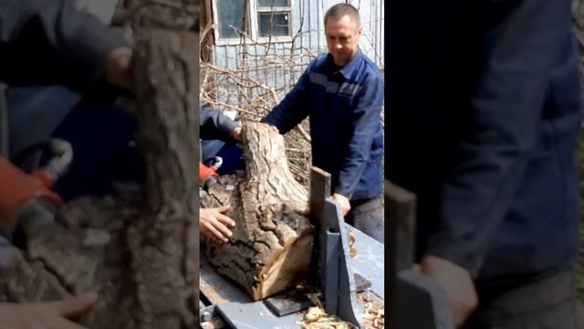 Гидравлический дровокол раскалывает и вдоль и поперёк смотреть онлайн