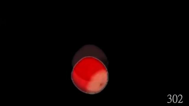 PenguinDrum AMV - Dear Future смотреть онлайн