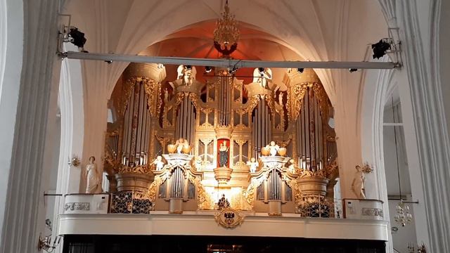 Leon Boelman - Toccata from the Gothic Suite for Organ Токката из Готической сюиты для органа смотреть онлайн