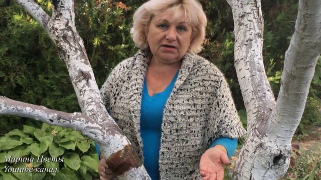 С деревьев снимаем это срочно !!! смотреть онлайн
