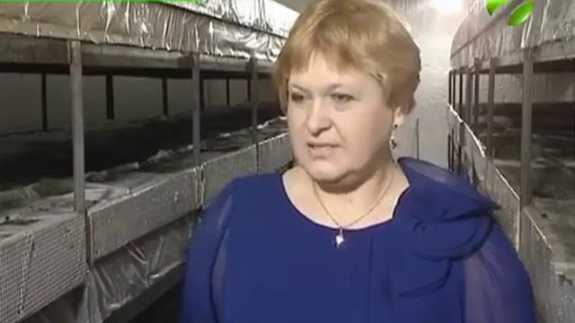 Всего за год грибная ферма кардинально изменила жизнь молодых людей в Ноябрьске смотреть онлайн