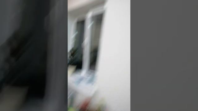 Теплые Приключения