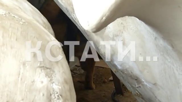 Современная скульптура венгерского авангардиста превратилась в гигантскую собачью будку смотреть онлайн