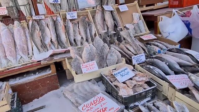 У меня ШОК ,как Люди живут в Якутии! смотреть онлайн