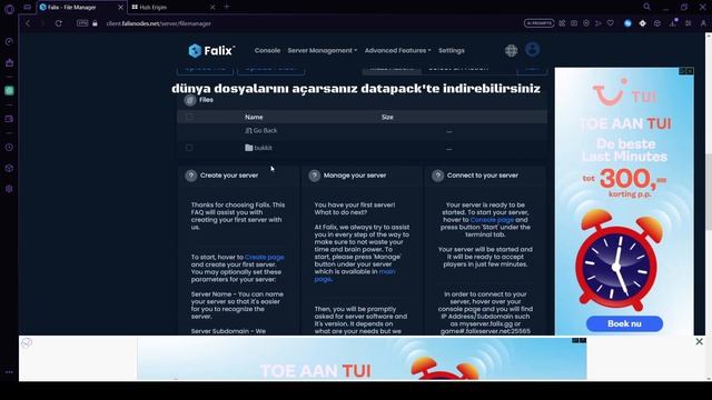 Falixnodes Tutorial смотреть онлайн
