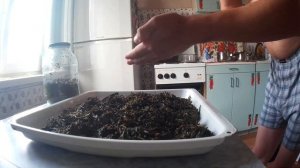 ФЕРМЕНТАЦИЯ ИВАН-ЧАЯ. КРУЧУ ЧАЙ НА МЯСОРУБКЕ И СУШУ В ДУХОВКЕ.