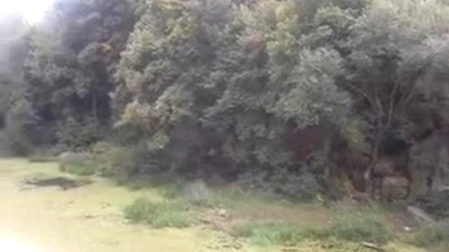 Река Уж. г. Коростень смотреть онлайн