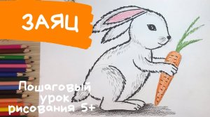 Заяц рисунок. Зайчик нарисовать. Как нарисовать зайчика. Как нарисовать зайца. Зайка картинка