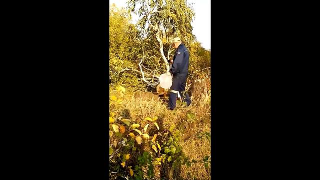 Не стоит отбирать мед у пчел смотреть онлайн