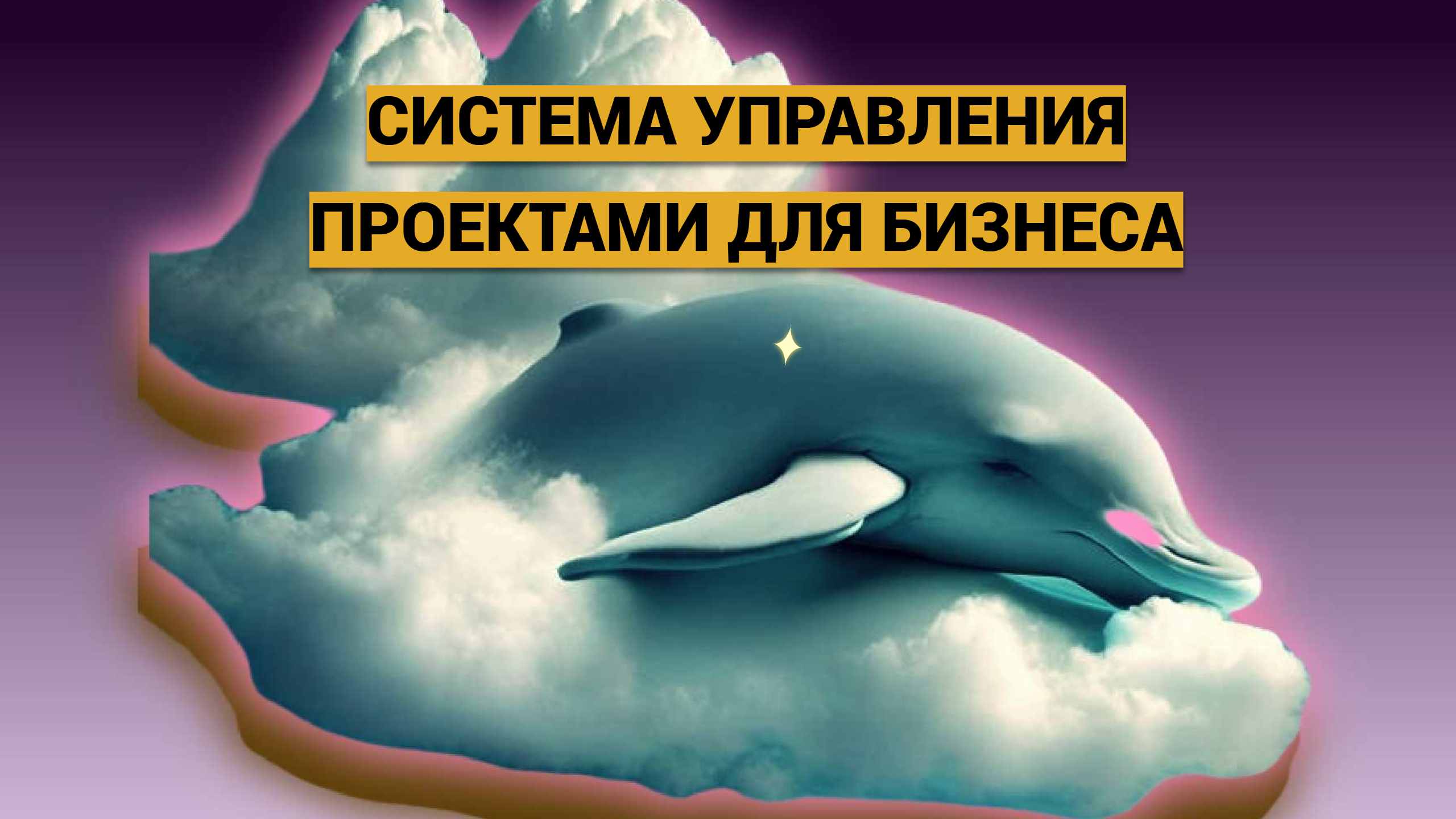 ?СИСТЕМА УПРАВЛЕНИЯ ПРОЕКТАМИ ДЛЯ БИЗНЕСА