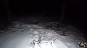 ВПЕЧАТЛИТЕЛЬНЫЕ ЗРИТЕЛИ - НЕ СМОТРИТЕ ЭТО ! СТРАШНАЯ НОЧЬ В ЛЕСУ !