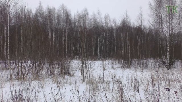 Тест камуфляжа Schneetarndruck (реплика). Зима / Camouflage test Schneetarndruck (replica). Winter. смотреть онлайн