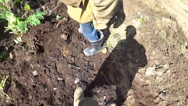 НАШЛИ СХРОН ЧУГУННЫХ СЛИТКОВ. КОП МЕТАЛЛА ЭКСКОВАТОРОМ. смотреть онлайн